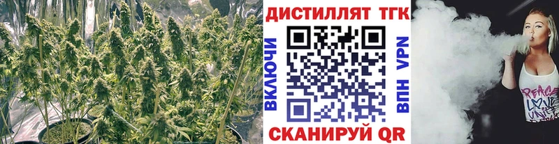 ТГК гашишное масло Воркута