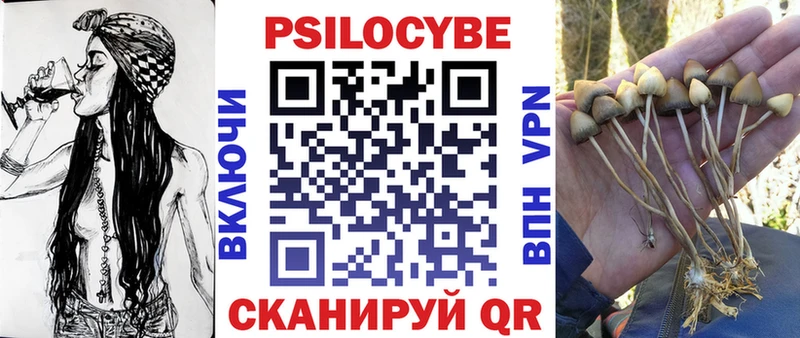 omg как войти  Воркута  Псилоцибиновые грибы Cubensis 